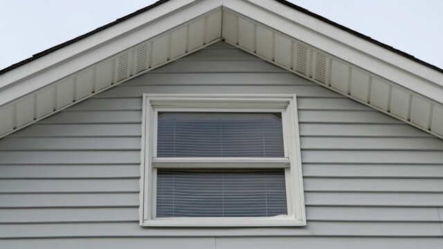 Vinyl Siding